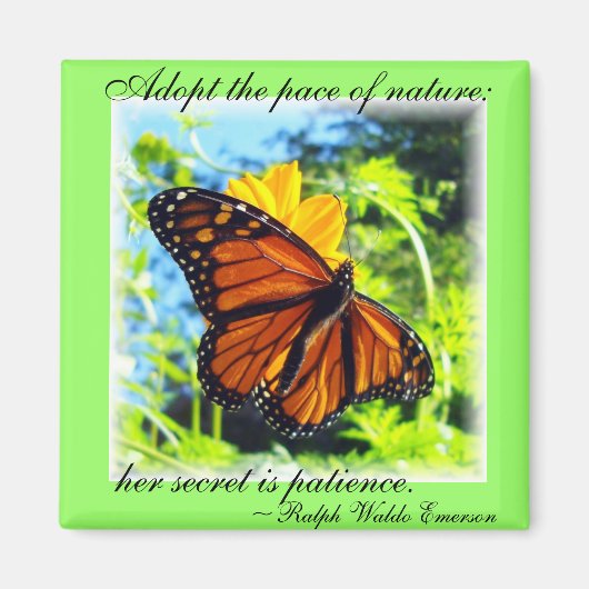 Monarch Butterfly Magnet (Voorkant)