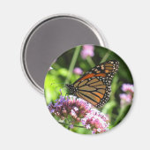 Monarch Butterfly Magnet (Voorkant / Achterkant)