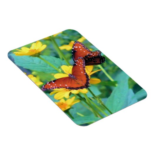 Monarch Butterfly - Magnet Magneet (Rechterzijde)