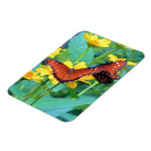 Monarch Butterfly - Magnet Magneet (Linkerzijde)