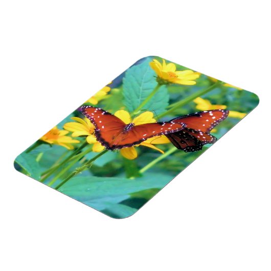 Monarch Butterfly - Magnet Magneet (Linkerzijde)