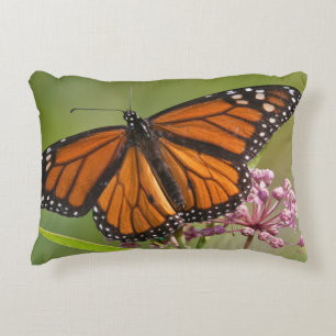 Monarch Butterfly man op Swamp Milkweed Accent Kussen