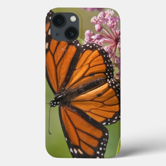 Monarch Butterfly man op Swamp Milkweed Case-Mate iPhone Case (Achterkant)