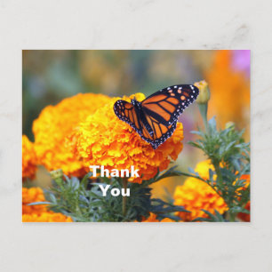 Monarch Butterfly Marigold Foto bedankt Briefkaart
