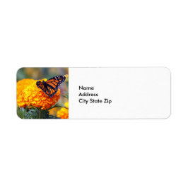 Monarch Butterfly Marigold Foto Etiket