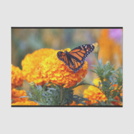 Monarch Butterfly Marigold Foto Tissuepapier