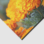 Monarch Butterfly Marigold Foto Tissuepapier (Detail)