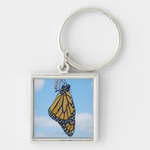 Monarch Butterfly, met Chrysalis Sleutelhanger