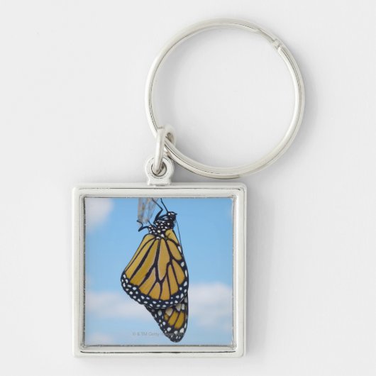 Monarch Butterfly, met Chrysalis Sleutelhanger (Voorkant)