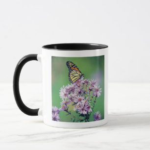 Monarch Butterfly Mok