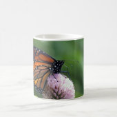 Monarch Butterfly - Mokken (Center)
