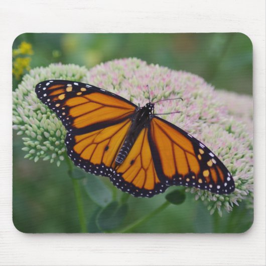 Monarch Butterfly Mouse Pad Muismat (Voorkant)