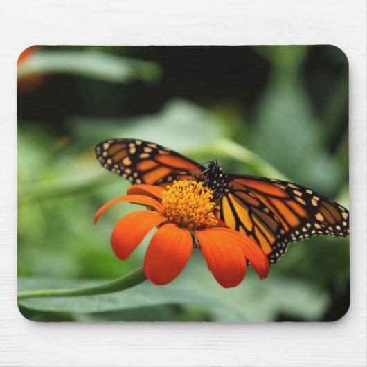Monarch Butterfly Mousepad Muismat (Voorkant)