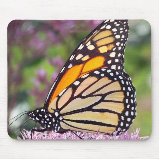Monarch Butterfly mousepad Muismat (Voorkant)