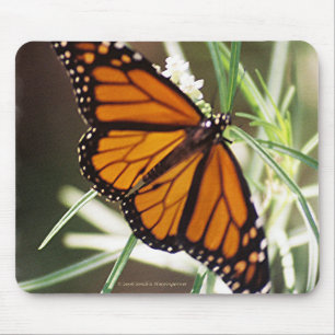 Monarch Butterfly Mousepad Muismat