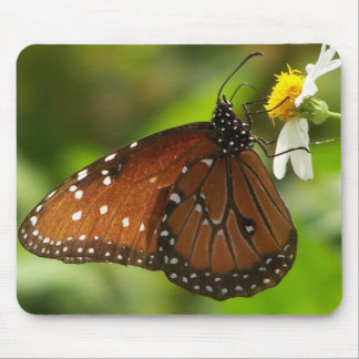 Monarch Butterfly Muismat