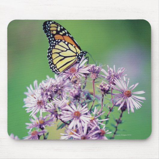 Monarch Butterfly Muismat (Voorkant)