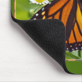 Monarch Butterfly Muismat (Hoek)
