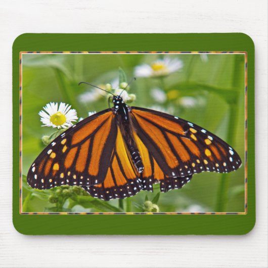 Monarch Butterfly Muismat (Voorkant)