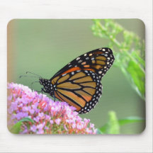 Monarch Butterfly Muismat