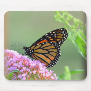 Monarch Butterfly Muismat