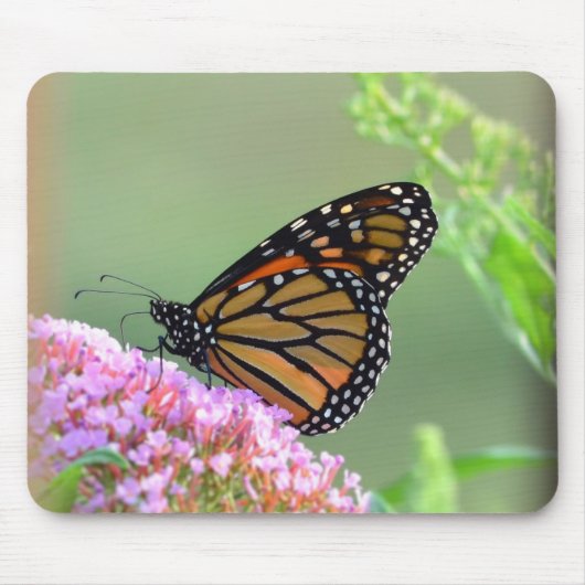 Monarch Butterfly Muismat (Voorkant)