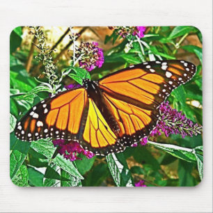 Monarch Butterfly Muismat