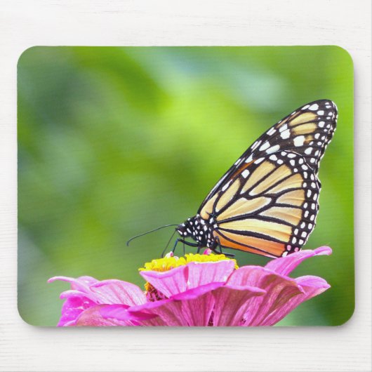 Monarch Butterfly Muismat (Voorkant)