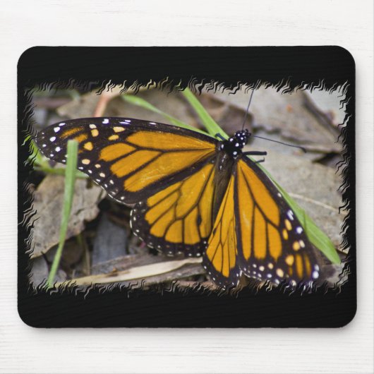 Monarch Butterfly Muismat (Voorkant)