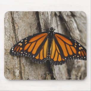 Monarch Butterfly Muismat