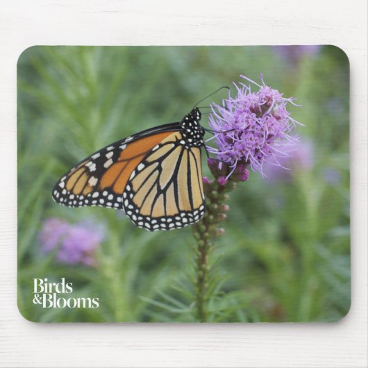 Monarch Butterfly Muismat (Voorkant)