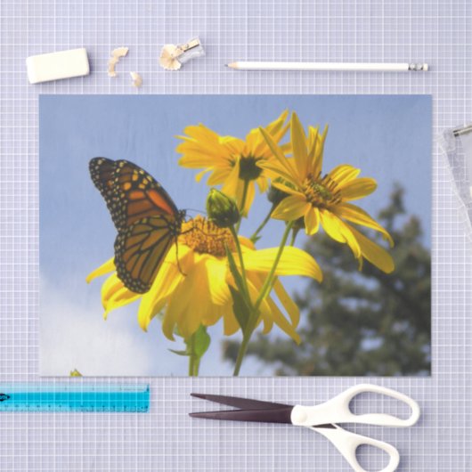 Monarch Butterfly N Sunflower Tissuepapier (Craft)