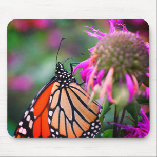 Monarch Butterfly Natuur Muismat