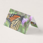 Monarch Butterfly Note-kaarten Kaart (Voorkant)