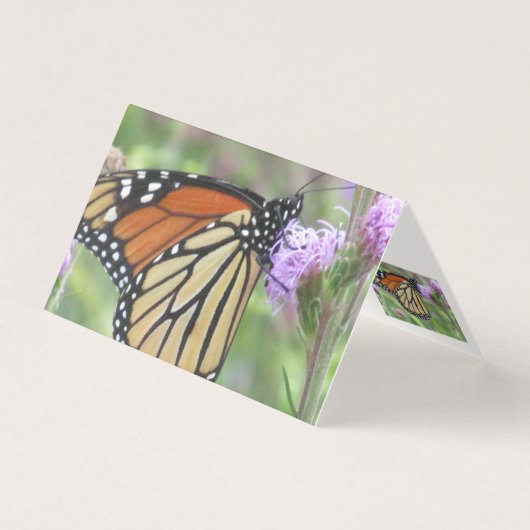 Monarch Butterfly Note-kaarten Kaart (Voorkant)