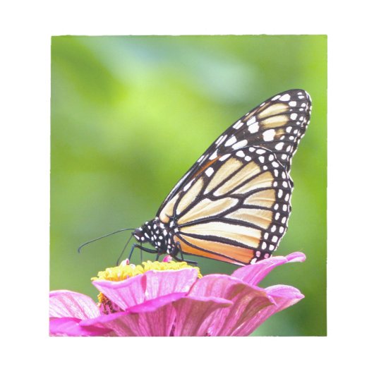 Monarch Butterfly Notitieblok (Voorkant)