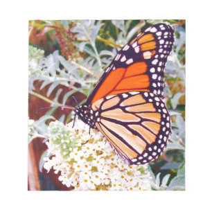 Monarch Butterfly Notitieblok
