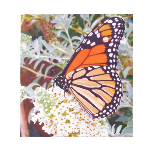Monarch Butterfly Notitieblok (Voorkant)