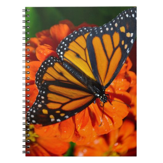 Monarch Butterfly Notitieboek (Voorkant)