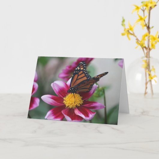 Monarch Butterfly on Deep Pink Dahlia Photo Blank Kaart (Gele Bloem)