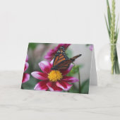 Monarch Butterfly on Deep Pink Dahlia Photo Blank Kaart (Voorkant)
