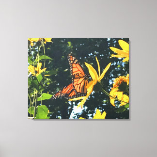 Monarch Butterfly on Flower Photograph Canvas Afdruk
