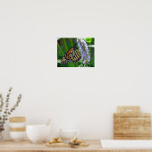 Monarch Butterfly on flower Poster (Keuken)