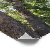 Monarch Butterfly on Purple Flowers Poster (Hoek)