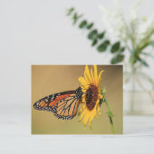 Monarch Butterfly on Sunflower Briefkaart (Staand voorkant)