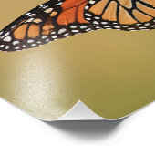 Monarch Butterfly on Sunflower Foto Afdruk (Hoek)