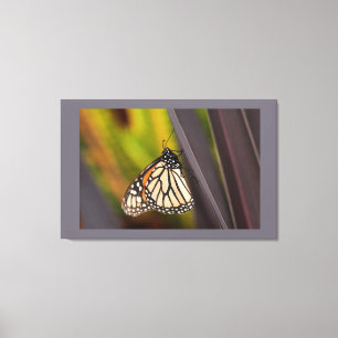 Monarch Butterfly op Agave Canvas Afdruk