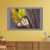 Monarch Butterfly op Agave Canvas Afdruk (Insitu (Woonkamer))