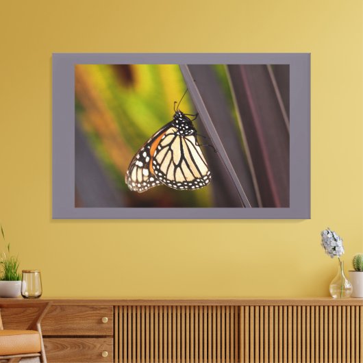 Monarch Butterfly op Agave Canvas Afdruk (Insitu (Woonkamer))