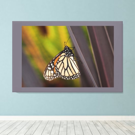 Monarch Butterfly op Agave Canvas Afdruk (Insitu (Houten vloer))
